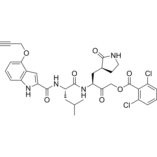 SARS-CoV-2 3CLpro probe-1
